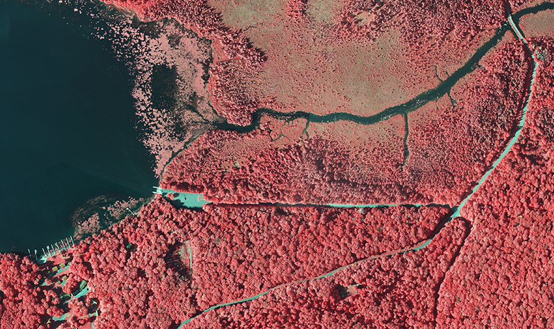 Tribal Wild Rice Mapping - Geospatial - Ayres