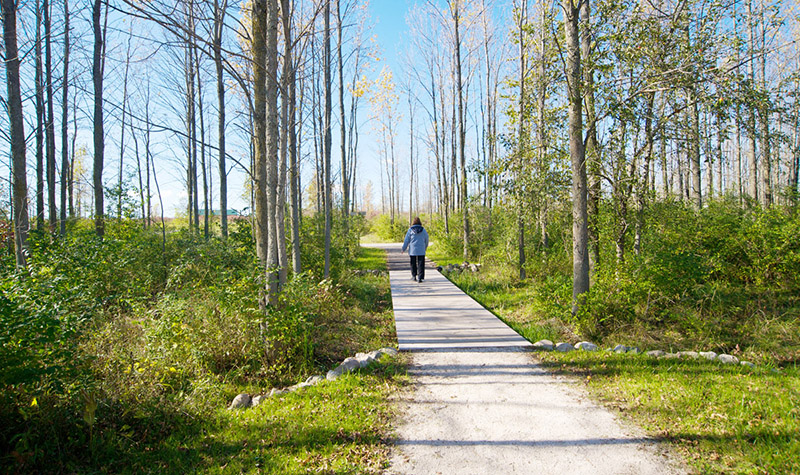 Harrington Beach State Park Map Harrington Beach State Park - Civil + Municipal Engineering - Ayres