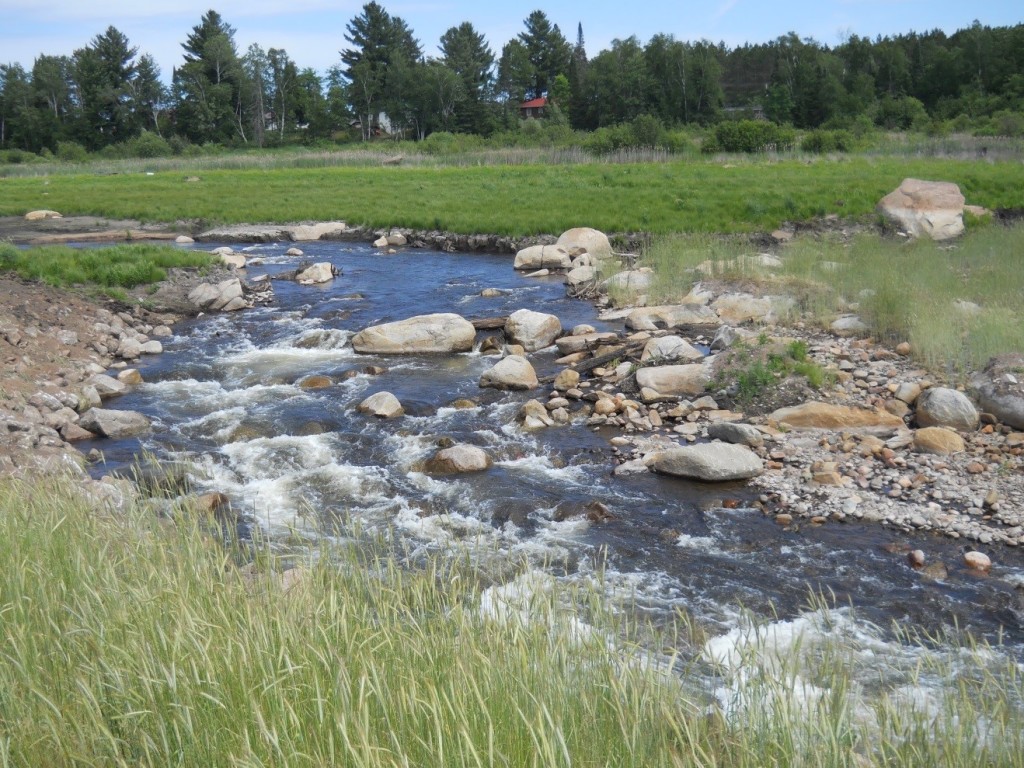 Grimh Dam post-removal