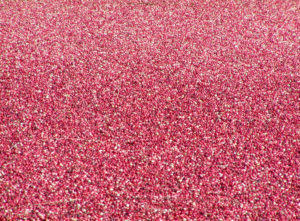 Cranberries