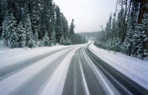 Snowy roadway between trees with tire tracks