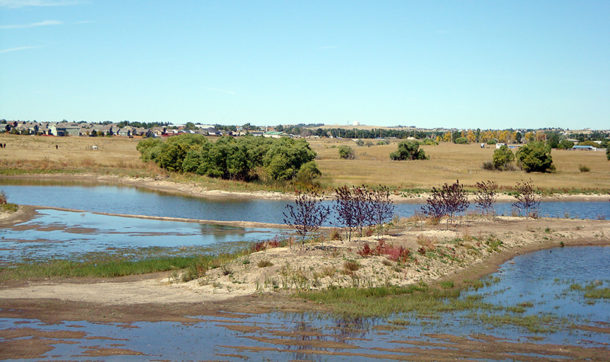 Lower Dry Creek Wetland