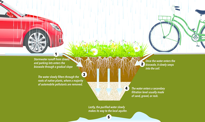 Bioswale illustration by Kristy Beyer, Tip of the Mitt Watershed Council