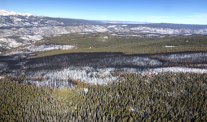 Helicopter shot of burn area.