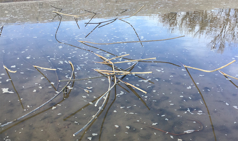 Existing conditions shows rebar exposed from significant abrasion damage to stilling basin apron in high velocity areas.